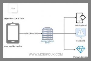 porn tube sites operation